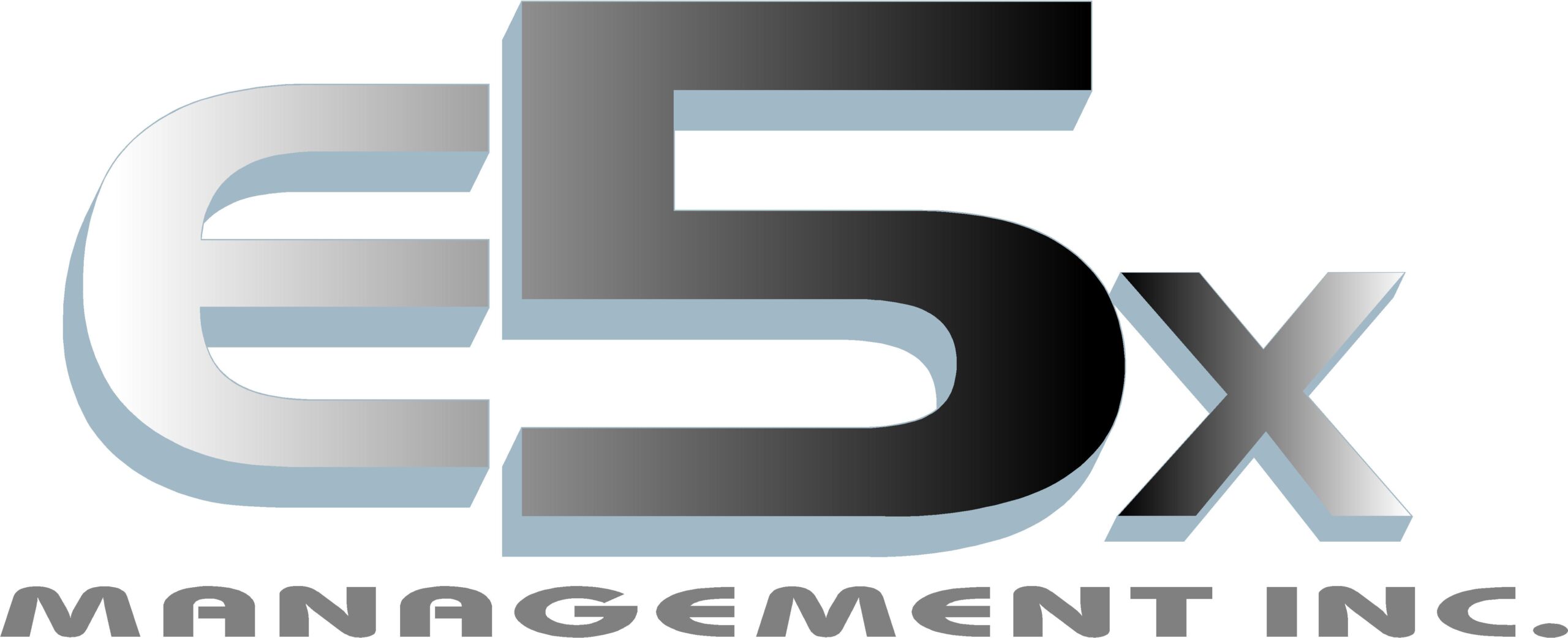 E5X Management logo